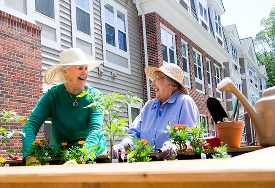 Personas mayores participando en actividades sociales en una comunidad de cohousing